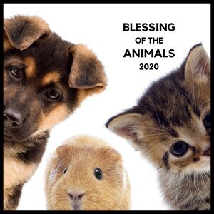 Blessing, pet food collection, 2:00pm Sunday, October 4