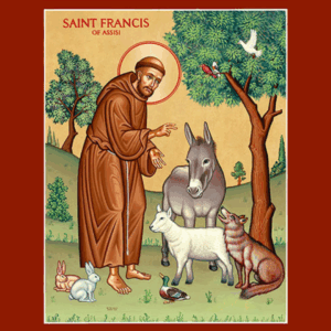 Blessing of the Animals 6