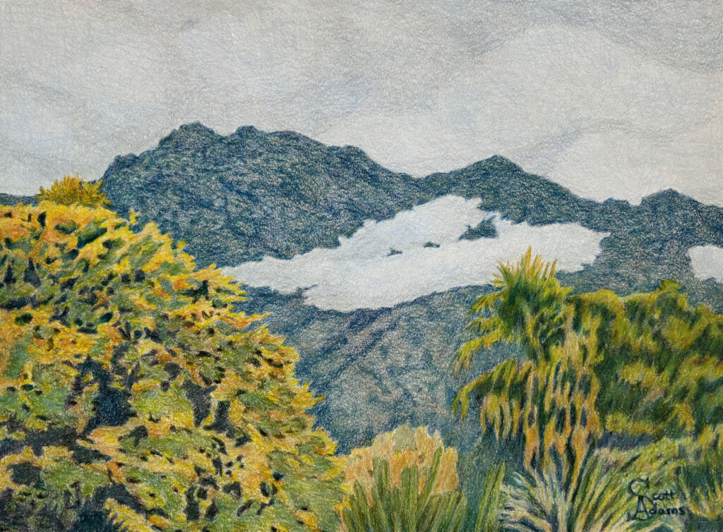 November's exhibit 5