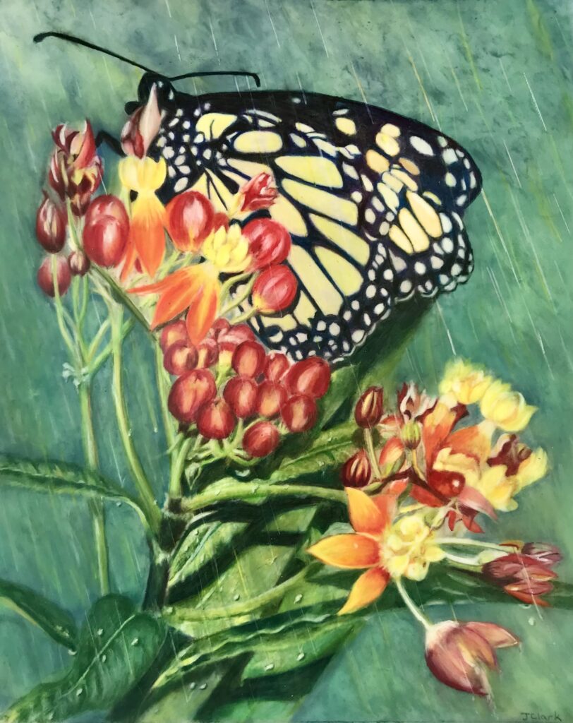 November's exhibit 3