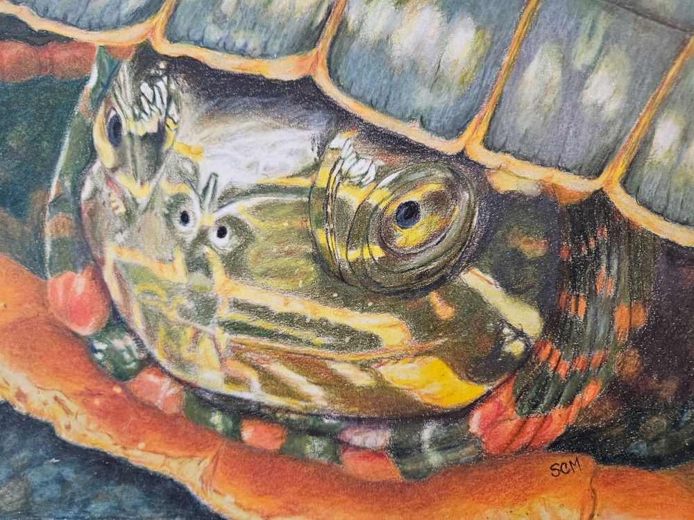 November's exhibit 2