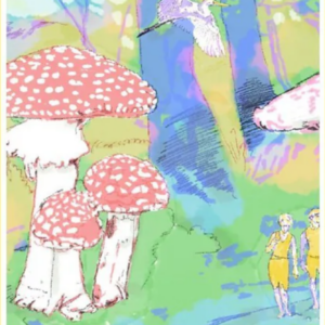 Vacation Bible School 1